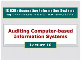 Auditing Computer-based Information Systems