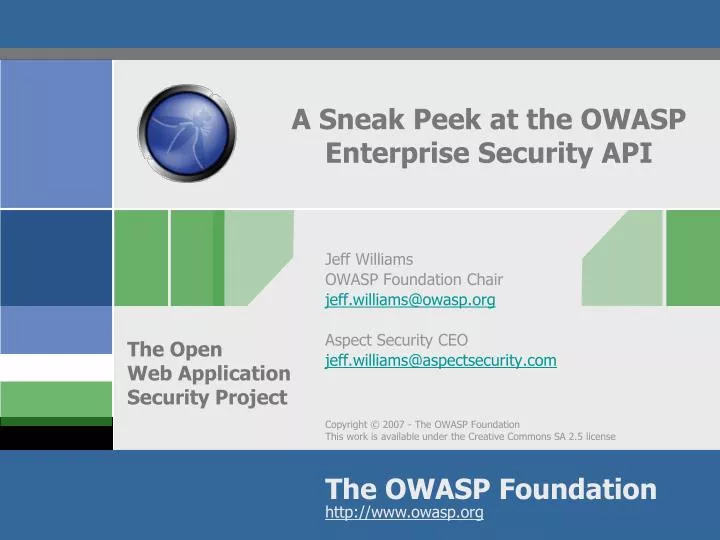 a sneak peek at the owasp enterprise security api