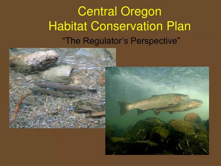 central oregon habitat conservation plan the regulator s perspective