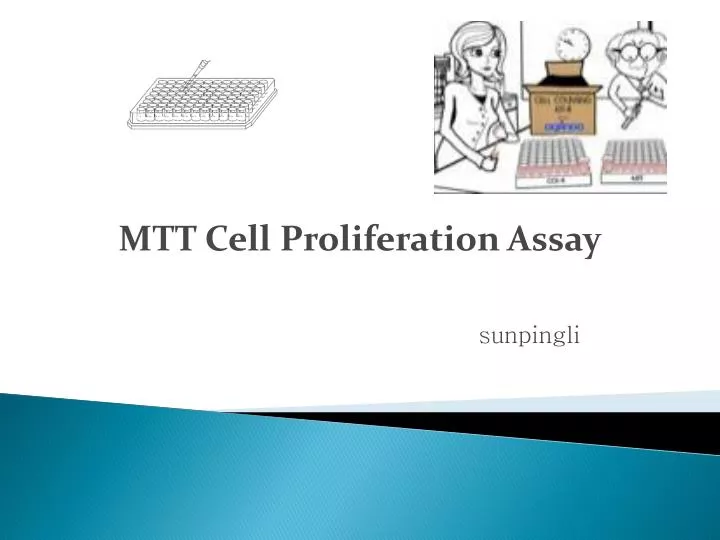 mtt cell proliferation assay sunpingli