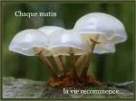 Chaque matin - slide 1