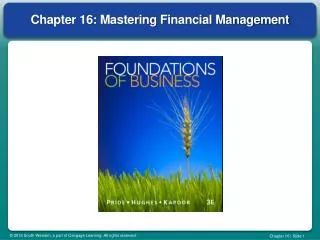 Chapter 16: Mastering Financial Management