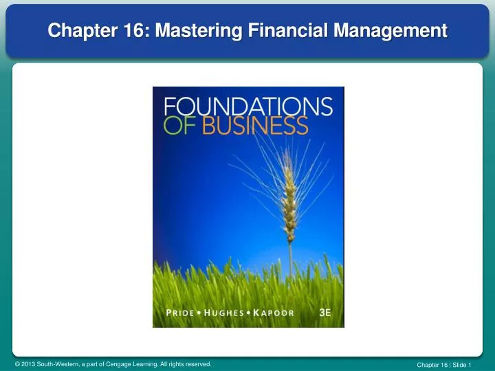 chapter 16 mastering financial management