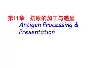 11 antigen processing presentation