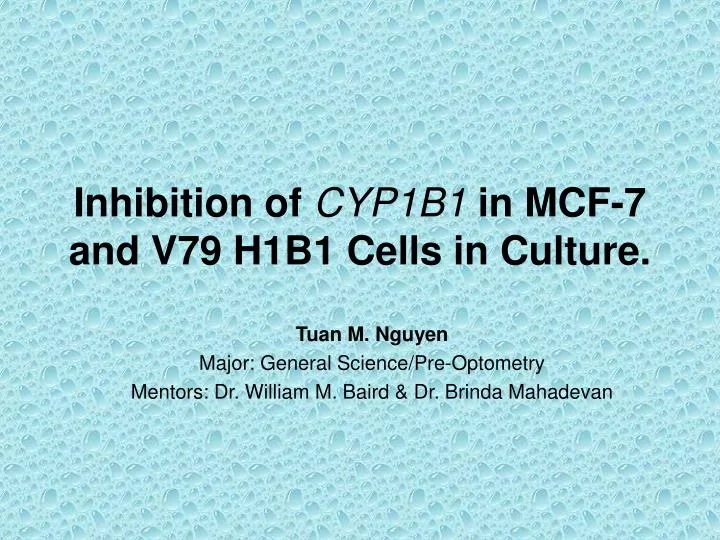 inhibition of cyp1b1 in mcf 7 and v79 h1b1 cells in culture