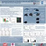 Liposomal Transfection Enhances HIV-1-Specific Immune Responses in Dendritic Cells - slide 1