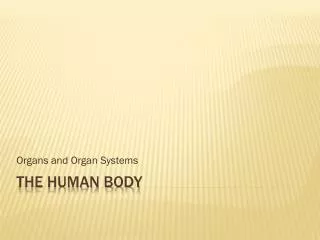 The Human Body