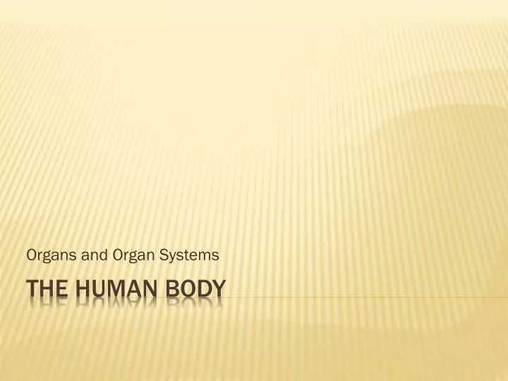 organs and organ systems