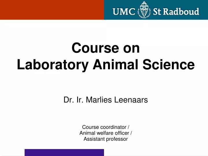dr ir marlies leenaars course coordinator animal welfare officer assistant professor