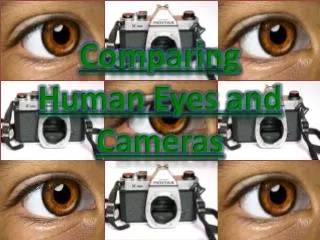 Comparing Human Eyes and Cameras