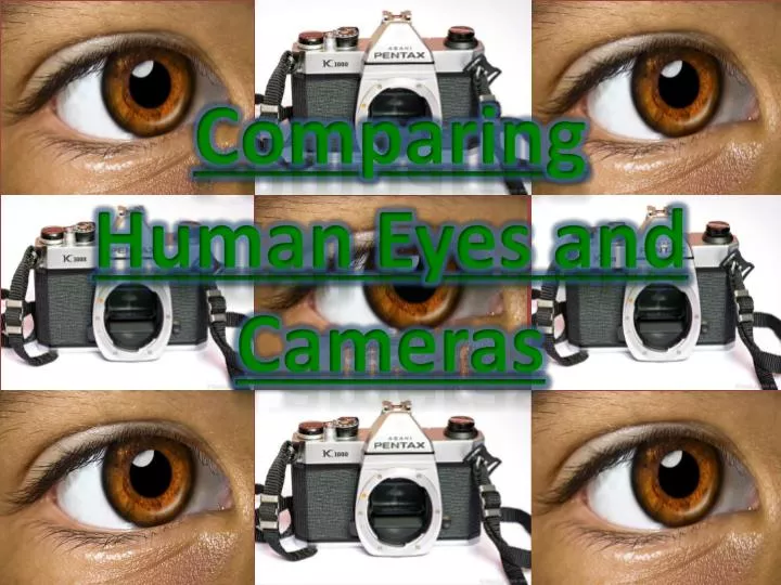 comparing human eyes and cameras