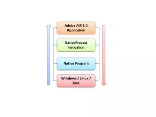 Adobe AIR 2.0 Application
