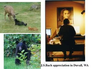 J.S.Bach appreciation in Duvall, WA