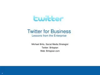 Twitter for Business Lessons from the Enterprise