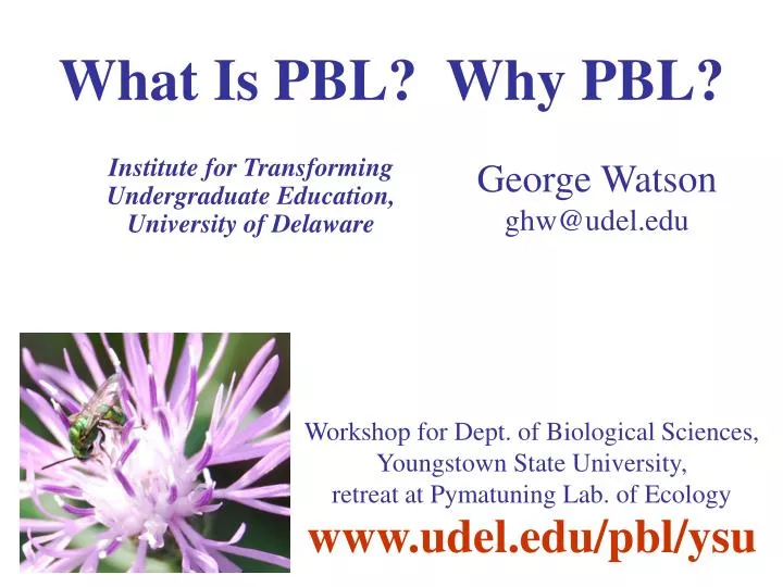 what is pbl why pbl