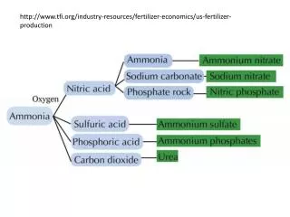 tfi /industry-resources/fertilizer-economics/us-fertilizer-production