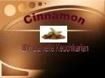 Cinnamon - slide 1