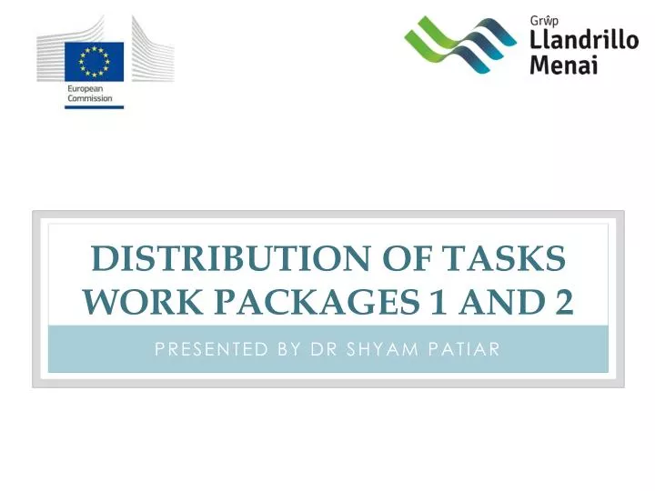 distribution of tasks work packages 1 and 2