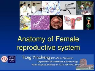 Anatomy of Female reproductive system