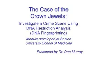 The Case of the Crown Jewels: