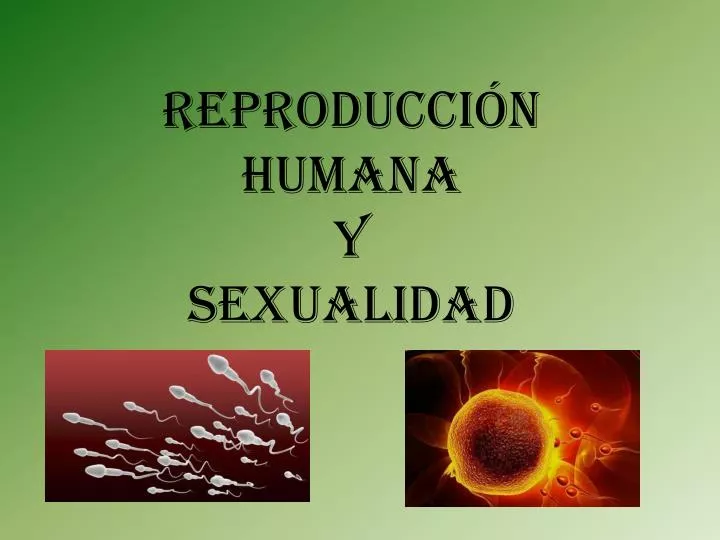 reproducci n humana y sexualidad