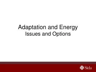 Adaptation and Energy Issues and Options