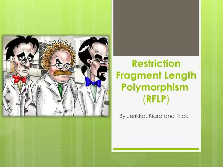 restriction fragment length polymorphism rflp