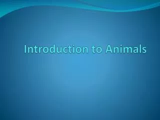 Introduction to Animals