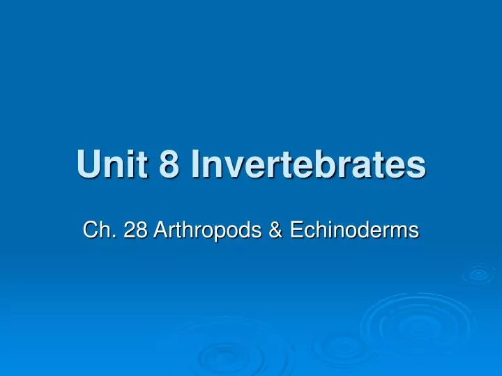 unit 8 invertebrates