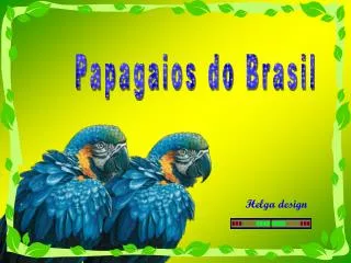 Papagaios do Brasil