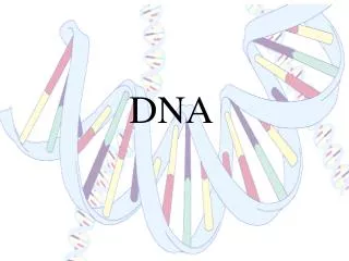 DNA