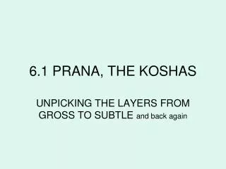 6.1 PRANA, THE KOSHAS
