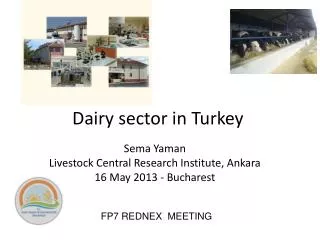 Dairy sector in Turkey