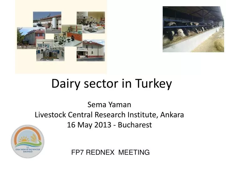 dairy sector in turkey