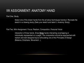 IW assignment : Anatomy Hand