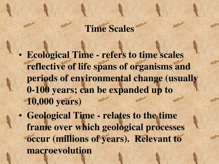 time scales