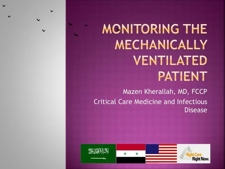 monitoring the mechanically ventilated patient