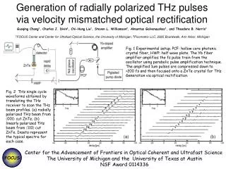 Generation of radially polarized THz pulses via velocity mismatched optical rectification