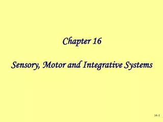 Chapter 16 Sensory, Motor and Integrative Systems