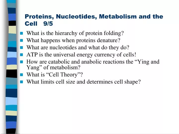 proteins nucleotides metabolism and the cell 9 5