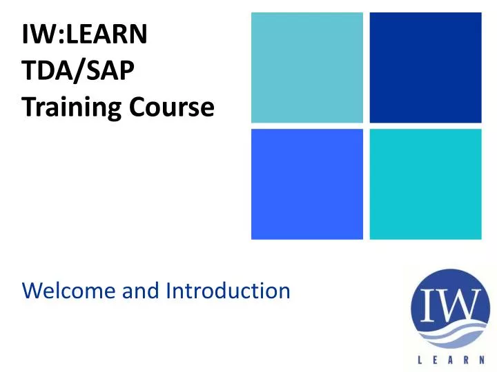 iw learn tda sap training course