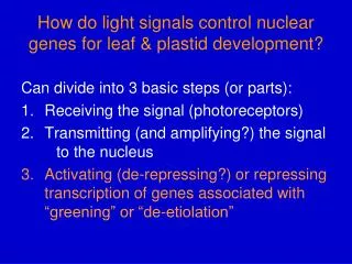 How do light signals control nuclear genes for leaf &amp; plastid development?