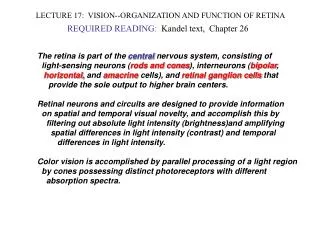 LECTURE 17: VISION--ORGANIZATION AND FUNCTION OF RETINA