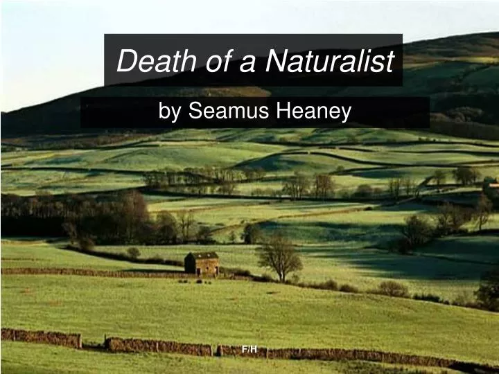 death of a naturalist