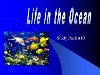 Study Pack #10