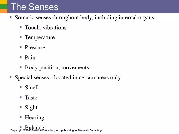 the senses