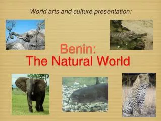 Benin: The Natural World
