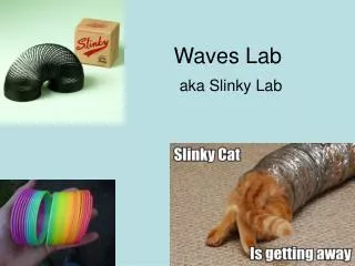 Waves Lab