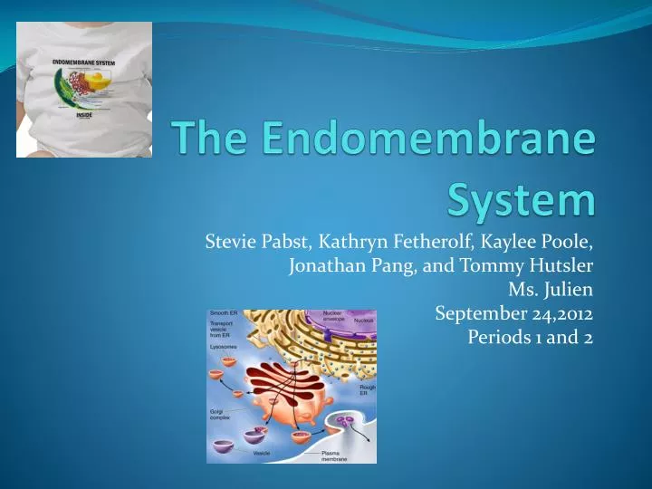 the endomembrane system