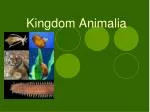 Kingdom Animalia - slide 1